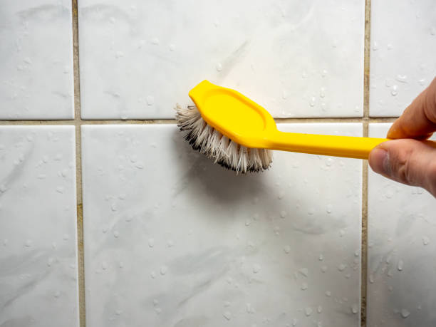 Best Mold Remediation for Specific Building Types in Heritage Pines, FL